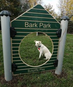 Image of white dog in dog park